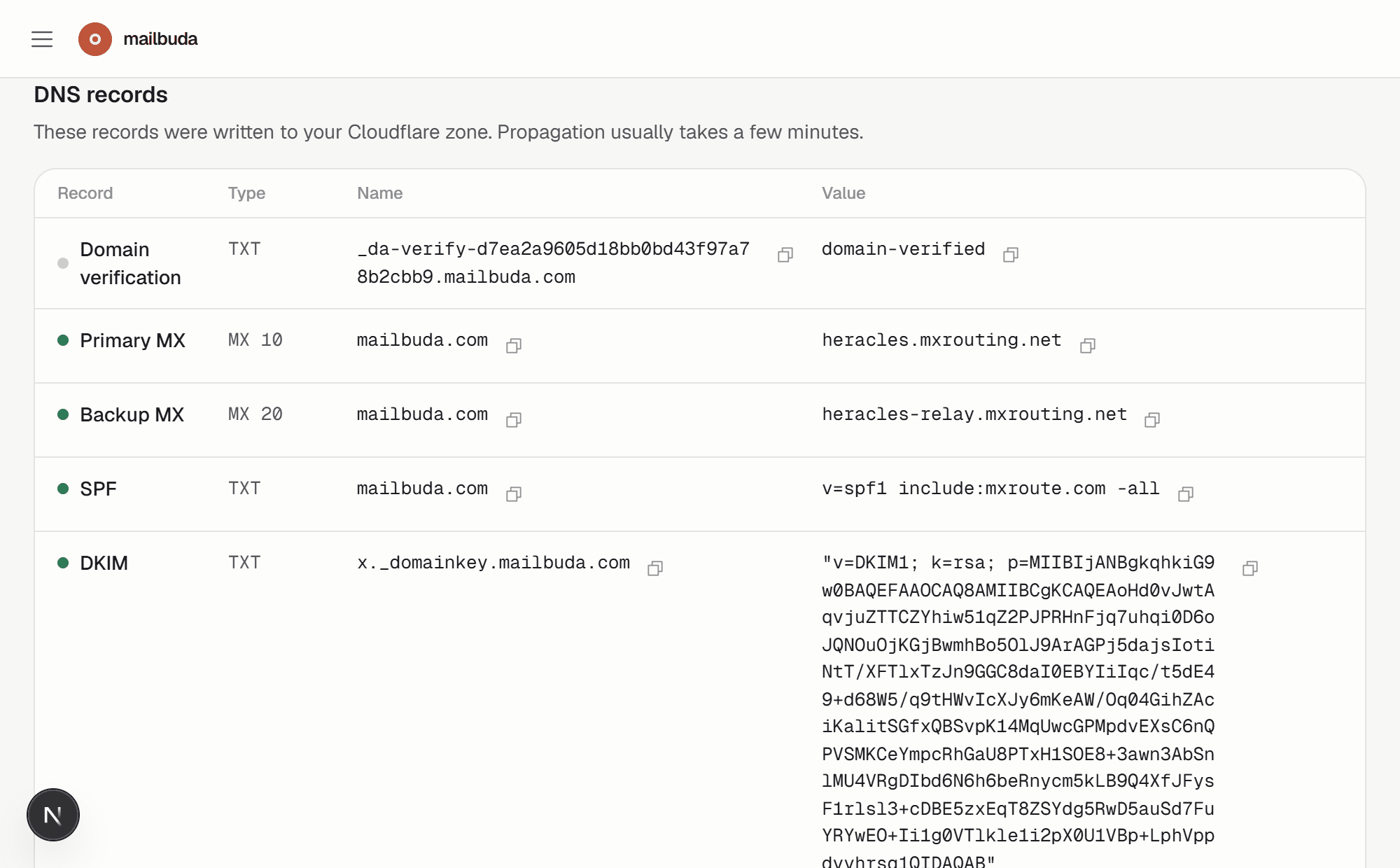 DNS records table with live resolution checks